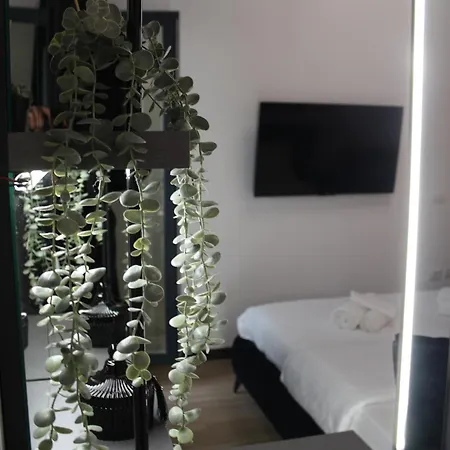 Boheme Luxe 地拉那